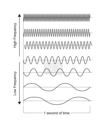 Ilustración de Amplitud, Período, Frecuencia y Longitudes de onda variables de gráficos vectoriales - Imagen libre de derechos