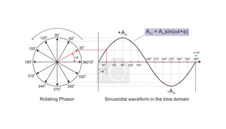 Illustration for Phasor representation of Sinusoidal current and waveform, Educational vector illustration diagram - Royalty Free Image