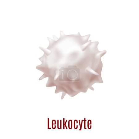 Illustration for Leukocyte. White Blood Cell in Realistic Style for for Medical Center and Laboratory Fliers Banners Posters Ad Web Pages. Vector Illustration - Royalty Free Image