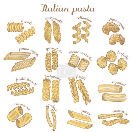 Illustration for Pasta Set. Italian Pasta in Hand Drawn Style for Surface Design Fliers Prints Cards Banners. Vector Illustration - Royalty Free Image