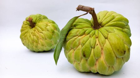 Photo for Melwa fruit or nona fruit. This is the nona fruit in Indonesia. This fruit is similar to soursop but smaller. The taste is sweet and delicious - Royalty Free Image