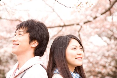 Téléchargez les photos : Portrait de heureux jeune couple japonais passer du temps ensemble dans le parc pendant la fleur de sakura - en image libre de droit