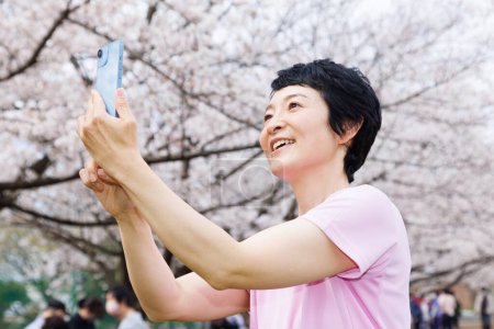 Photo for Asian woman taking picture in park with sakura blossom - Royalty Free Image