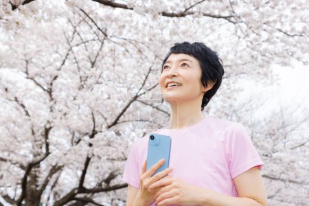 Photo for Asian woman with smartphone  in park with sakura blossom - Royalty Free Image