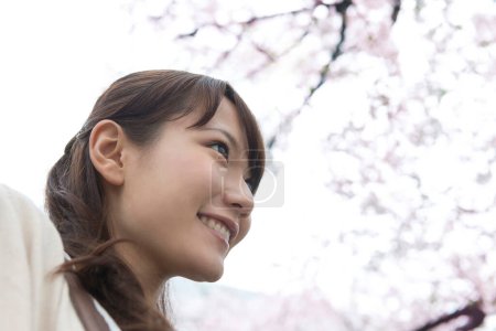 Photo for Young asian woman posing in the park with blooming sakura trees - Royalty Free Image