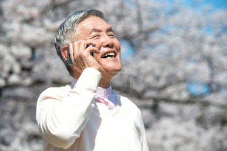Photo for Senior Japanese man using smartphone during walking in park with blossoming trees - Royalty Free Image