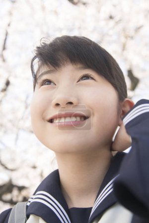 Photo for Portrait of beautiful Japanese student on street with blooming cherry trees - Royalty Free Image