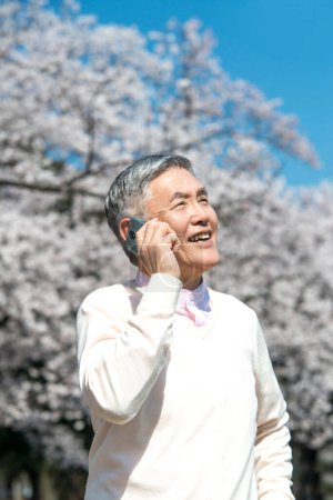 Téléchargez les photos : Homme japonais senior utilisant smartphone lors de la marche dans le parc avec des arbres en fleurs - en image libre de droit