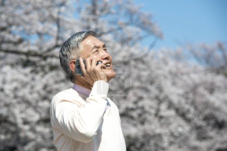 Téléchargez les photos : Homme japonais senior utilisant smartphone lors de la marche dans le parc avec des arbres en fleurs - en image libre de droit