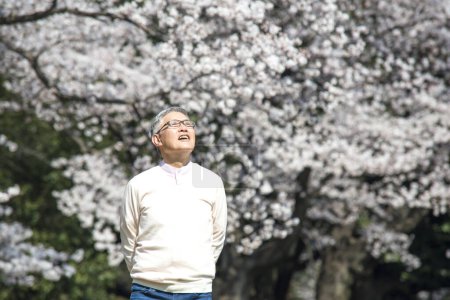 Téléchargez les photos : Senior asiatique l'homme dans l 'parc avec floraison arbres - en image libre de droit