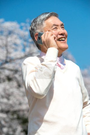 Foto de Hombre japonés mayor usando teléfono inteligente durante caminar en el parque con árboles en flor - Imagen libre de derechos