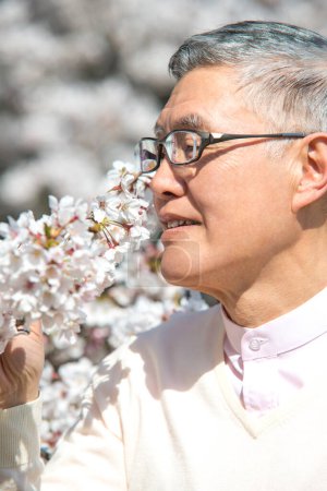 Téléchargez les photos : Senior asiatique l'homme dans l 'parc avec floraison arbres - en image libre de droit