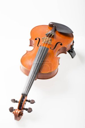 Foto de Primer plano violín sobre fondo blanco - Imagen libre de derechos