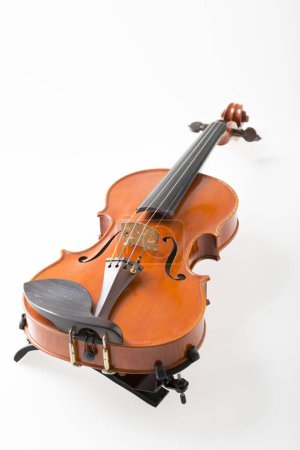 Photo for Close up violin on white background - Royalty Free Image