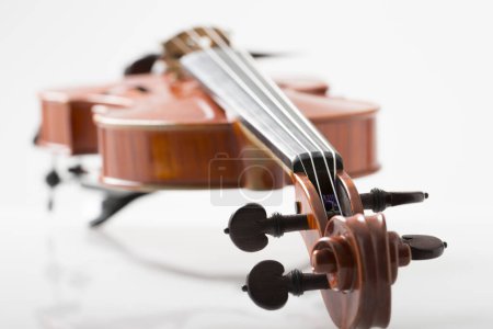 Foto de Primer plano violín sobre fondo blanco - Imagen libre de derechos
