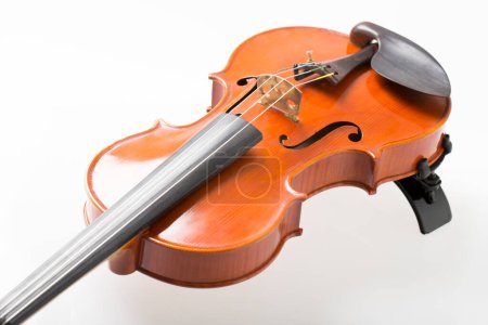 Photo for Close up violin on white background - Royalty Free Image