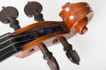 Photo for Close up detailed view of violin on white background - Royalty Free Image
