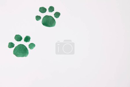 Foto de Huellas de pata de perro verde en blanco - Imagen libre de derechos