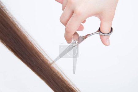 Photo for Hand with scissors cutting hair on white background - Royalty Free Image