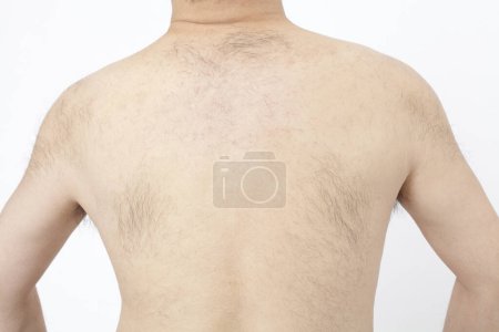 Téléchargez les photos : Gros plan poilu homme retour - en image libre de droit