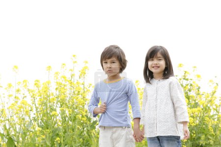 Foto de Lindo japonés niños en colza campo - Imagen libre de derechos