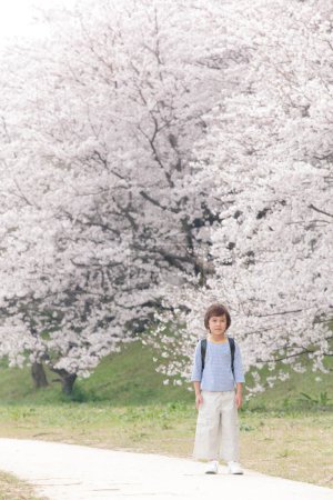 Photo for Cute Japanese child boy with backpack in spring park. concept of education - Royalty Free Image