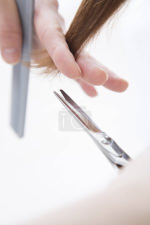 Téléchargez les photos : Jeune femme coupe les cheveux dans le salon de beauté - en image libre de droit