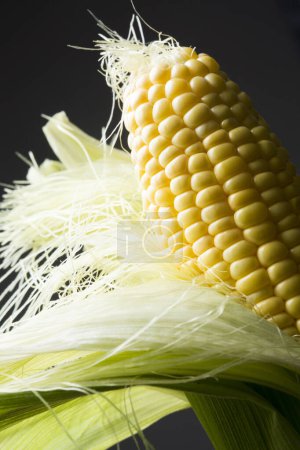 Foto de Mazorca de maíz fresco en el fondo aislado. - Imagen libre de derechos