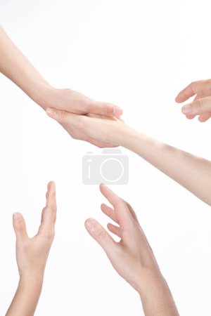 Foto de Grupo de personas manos aisladas sobre fondo blanco - Imagen libre de derechos