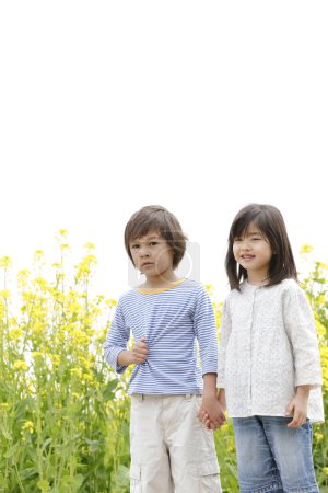 Téléchargez les photos : Mignon japonais enfants sur colza champ - en image libre de droit