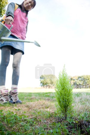 Téléchargez les photos : Jeune femme plantant un arbre dans la forêt - en image libre de droit