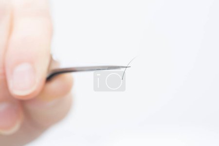Photo for Close up of a hand using tweezers for eyelash extension - Royalty Free Image