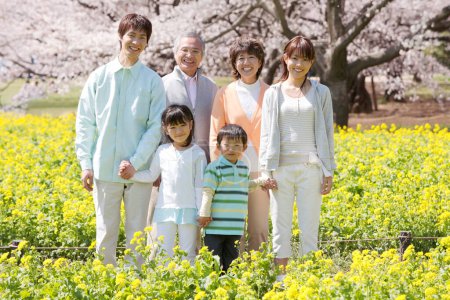 Téléchargez les photos : Extérieur pleine longueur portrait de grand gai asiatique famille posant contre floraison arbres - en image libre de droit