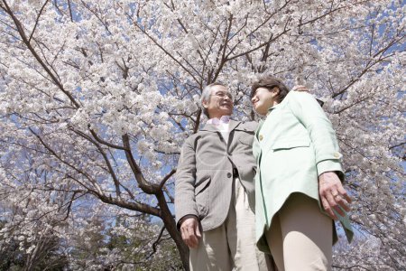 Foto de Feliz asiático senior pareja en amor en parque - Imagen libre de derechos
