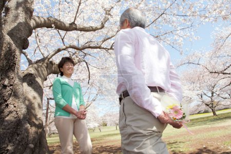 Foto de Feliz asiático senior pareja en la primavera parque - Imagen libre de derechos