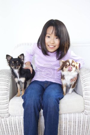 Téléchargez les photos : Souriant japonais fille assis dans le fauteuil avec mignon Chihuahua chiens - en image libre de droit