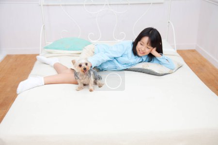Photo for Japanese girl Yorkshire Terrier puppy lying on bed at home - Royalty Free Image