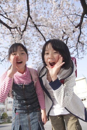 Téléchargez les photos : Filles japonaises souriantes avec des sacs à dos dans le parc de printemps - en image libre de droit