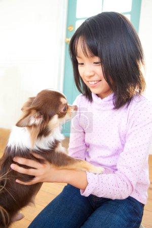 Téléchargez les photos : Souriant japonais fille jouer avec mignon chihuahua chien - en image libre de droit