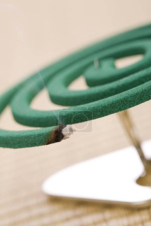 close up view of mosquito coil