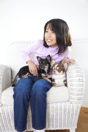 Foto de Sonriente japonesa chica sentado en sillón con lindo chihuahua perros - Imagen libre de derechos
