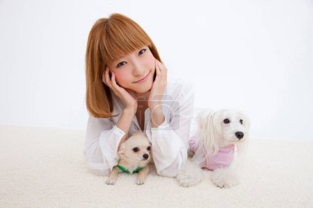 Téléchargez les photos : Belle asiatique femme avec son chiens, studio shot - en image libre de droit