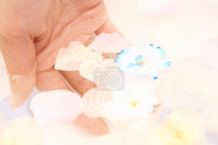 Foto de Mano femenina sosteniendo hermosos pétalos de flores - Imagen libre de derechos