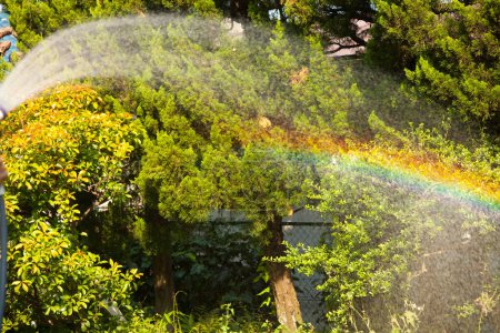 Foto de Hermoso arco iris en el jardín - Imagen libre de derechos