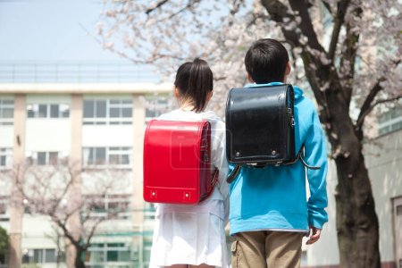 Foto de Vista posterior de los jóvenes estudiantes de la escuela primaria japonesa que buscan flores de cerezo en el patio de la escuela - Imagen libre de derechos