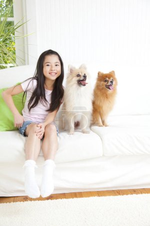 portrait of cute pomeranian spitzes and smiling japanese girl sitting on sofa