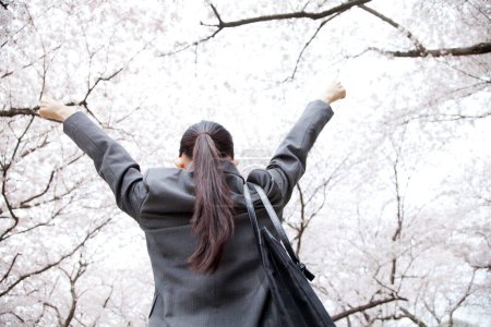 Téléchargez les photos : Vue arrière de la femme d'affaires dans le parc pendant la saison de floraison sakura - en image libre de droit