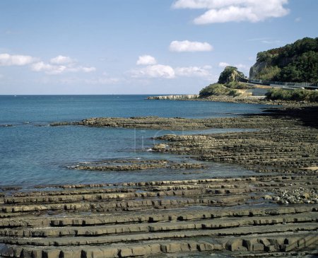 Photo of unique, natural rows of volcanic rocks filled with sea water at low tide in Miyazaki, Japan