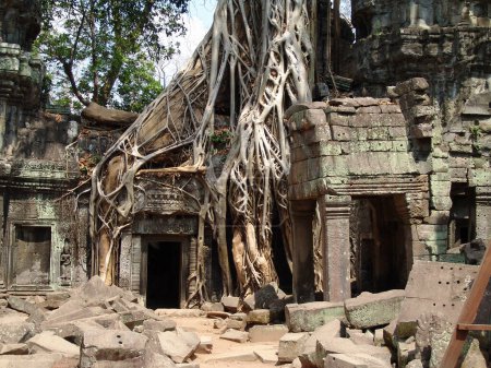 Foto de Gran árbol raíz creciendo sobre ruinas en Angkor wat templo - Imagen libre de derechos