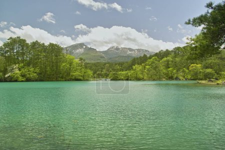 Photo for Beautiful summer scenery of lake in mountains - Royalty Free Image